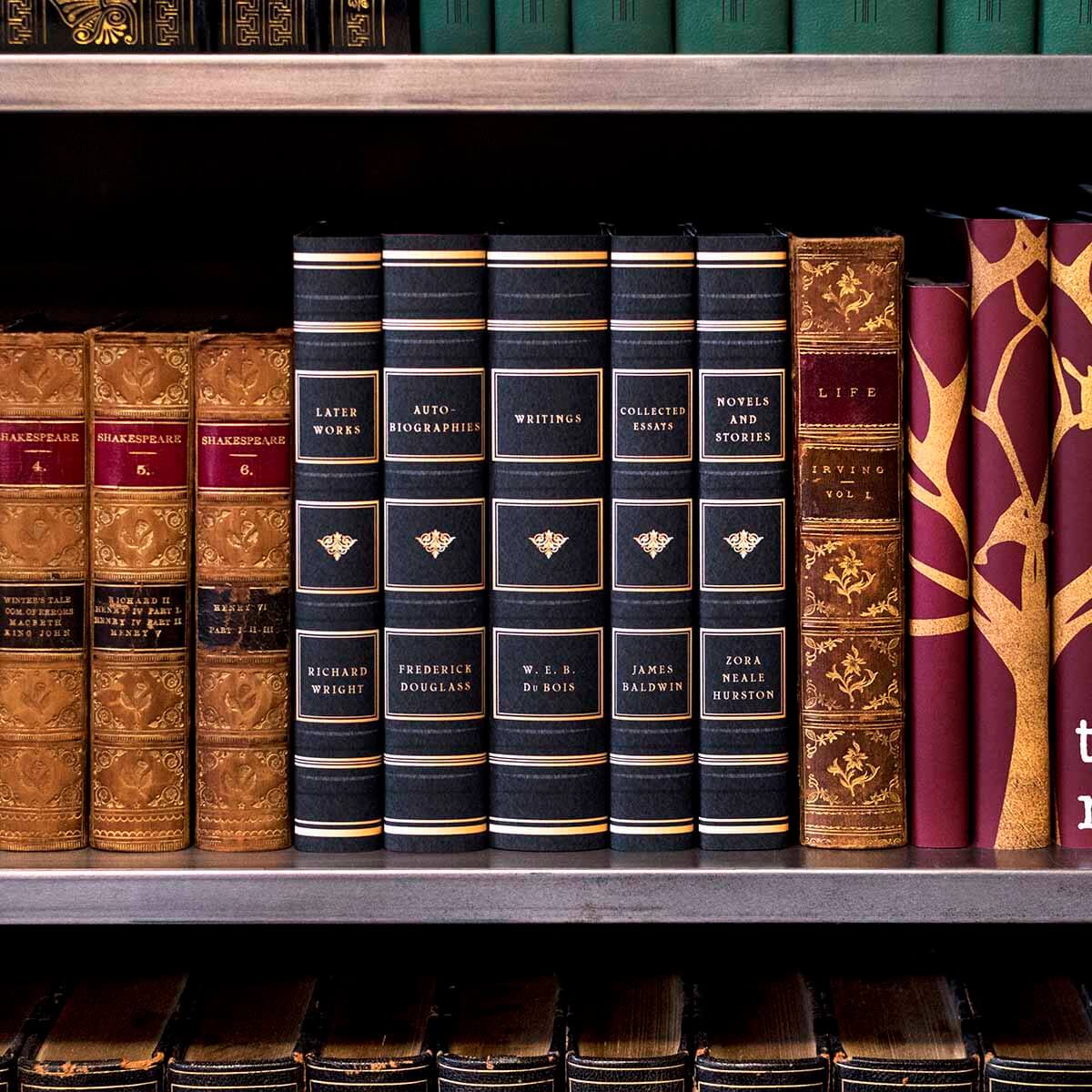 African American Literary Classics - Image 5