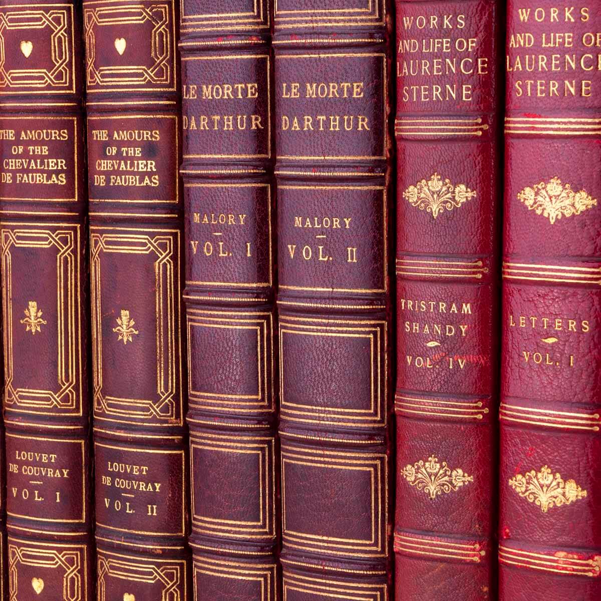 Antique Leather Books by the Foot - Image 8