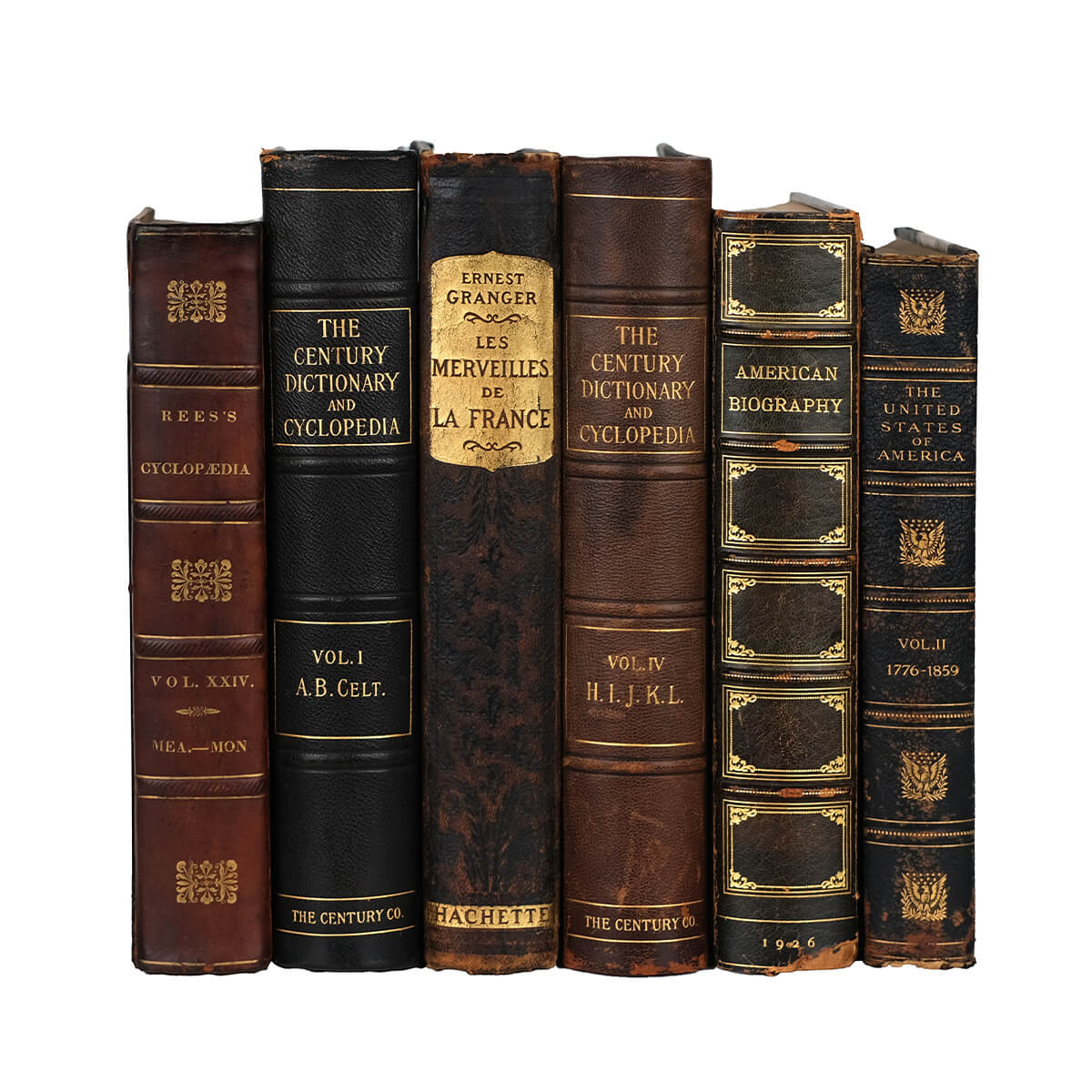 Antique Leather Books by the Foot - Oversized - Image 3
