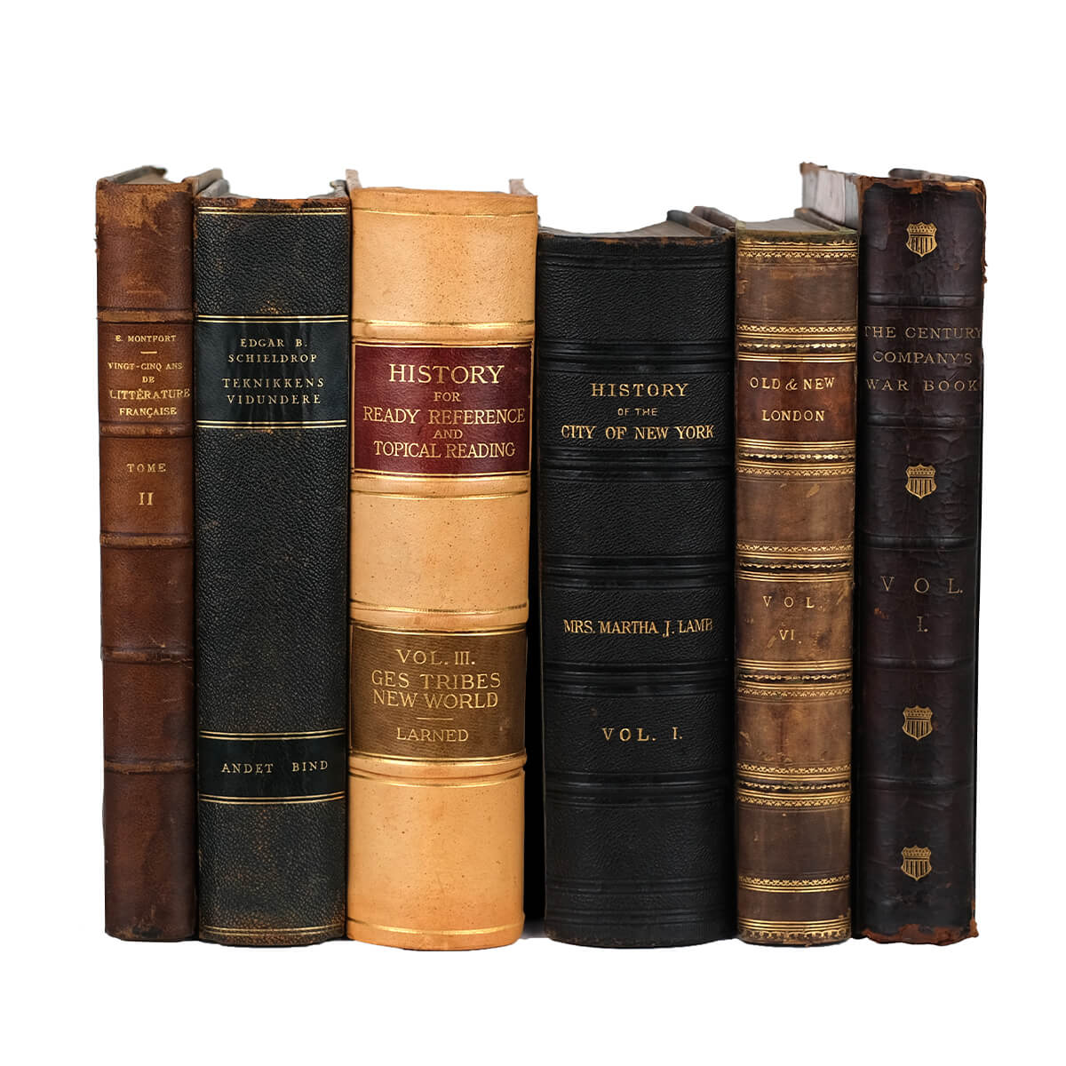 Antique Leather Books by the Foot - Oversized - Image 5