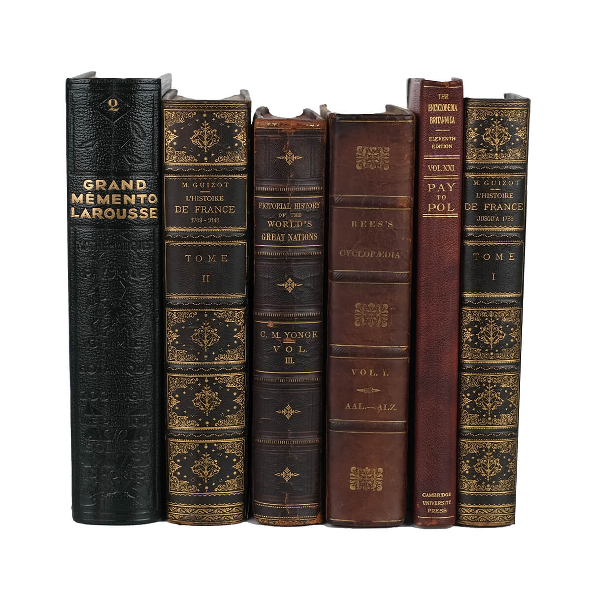 Antique Leather Books by the Foot - Oversized - Image 6