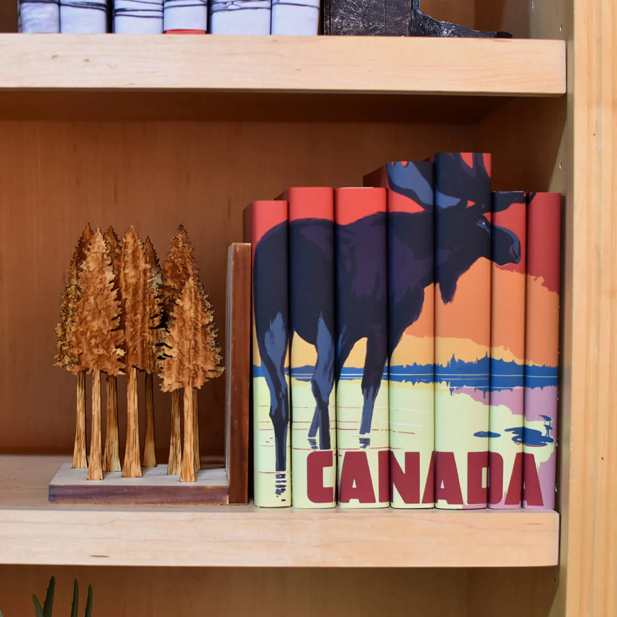 Canadian Literature Book Set - Image 3