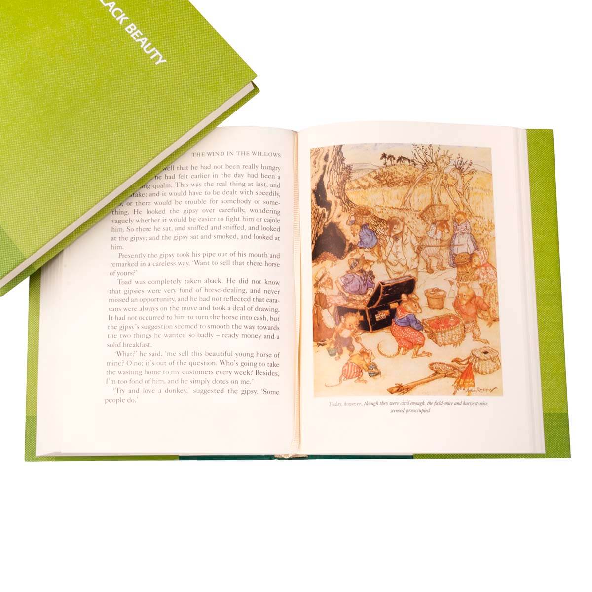 Classic Children’s Book Set in Green Turtle Jackets - Image 4