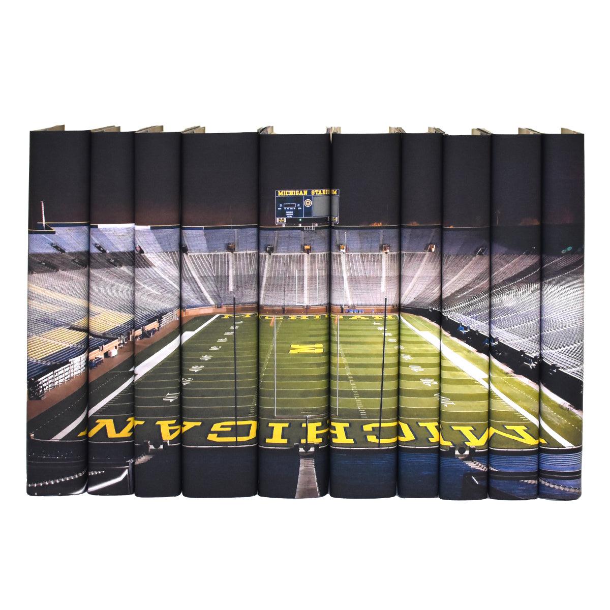 College Logos and Mascots on a Book Set - Full Custom - Get Started with a Deposit - Image 3