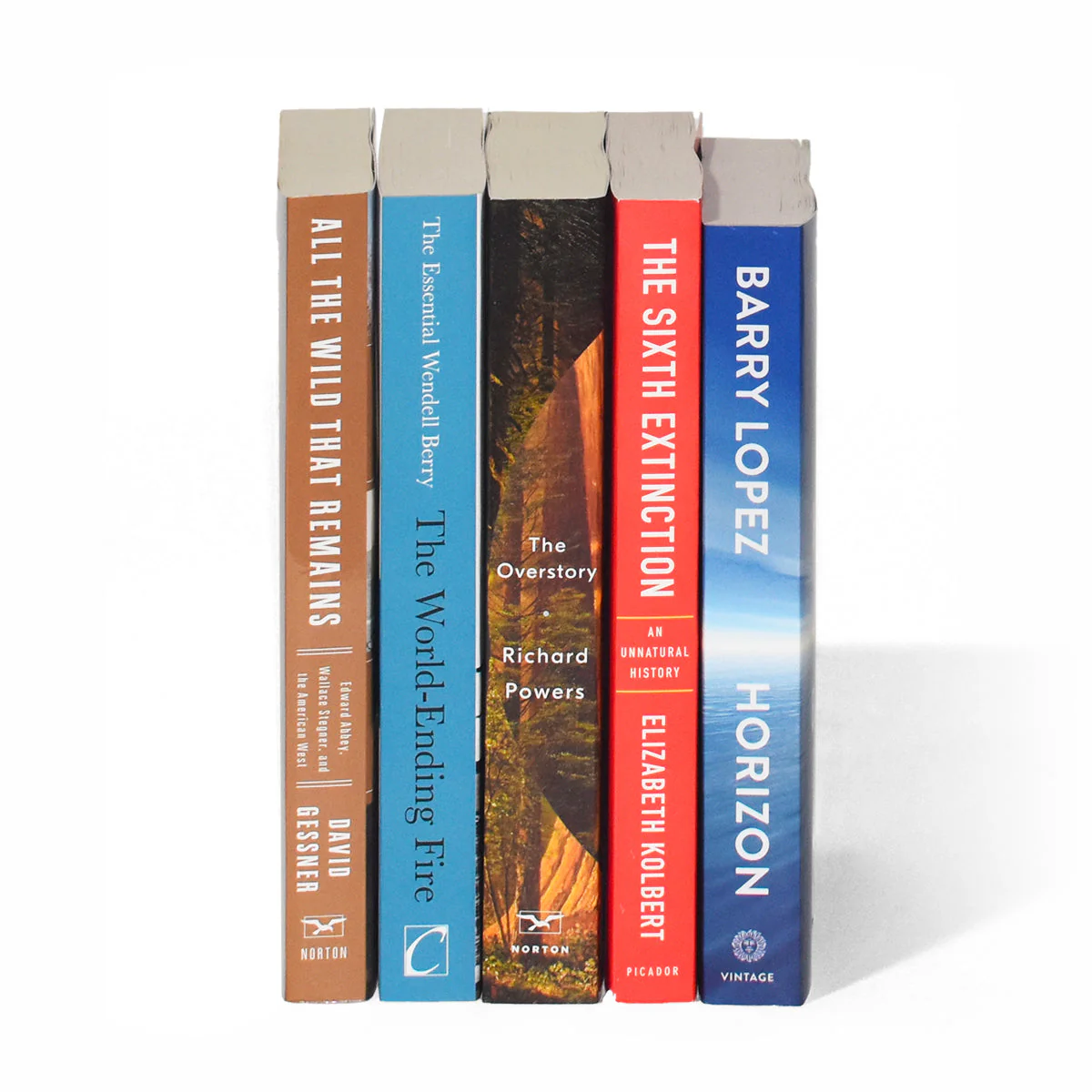 Earth Day Everyday Book Set - Image 3