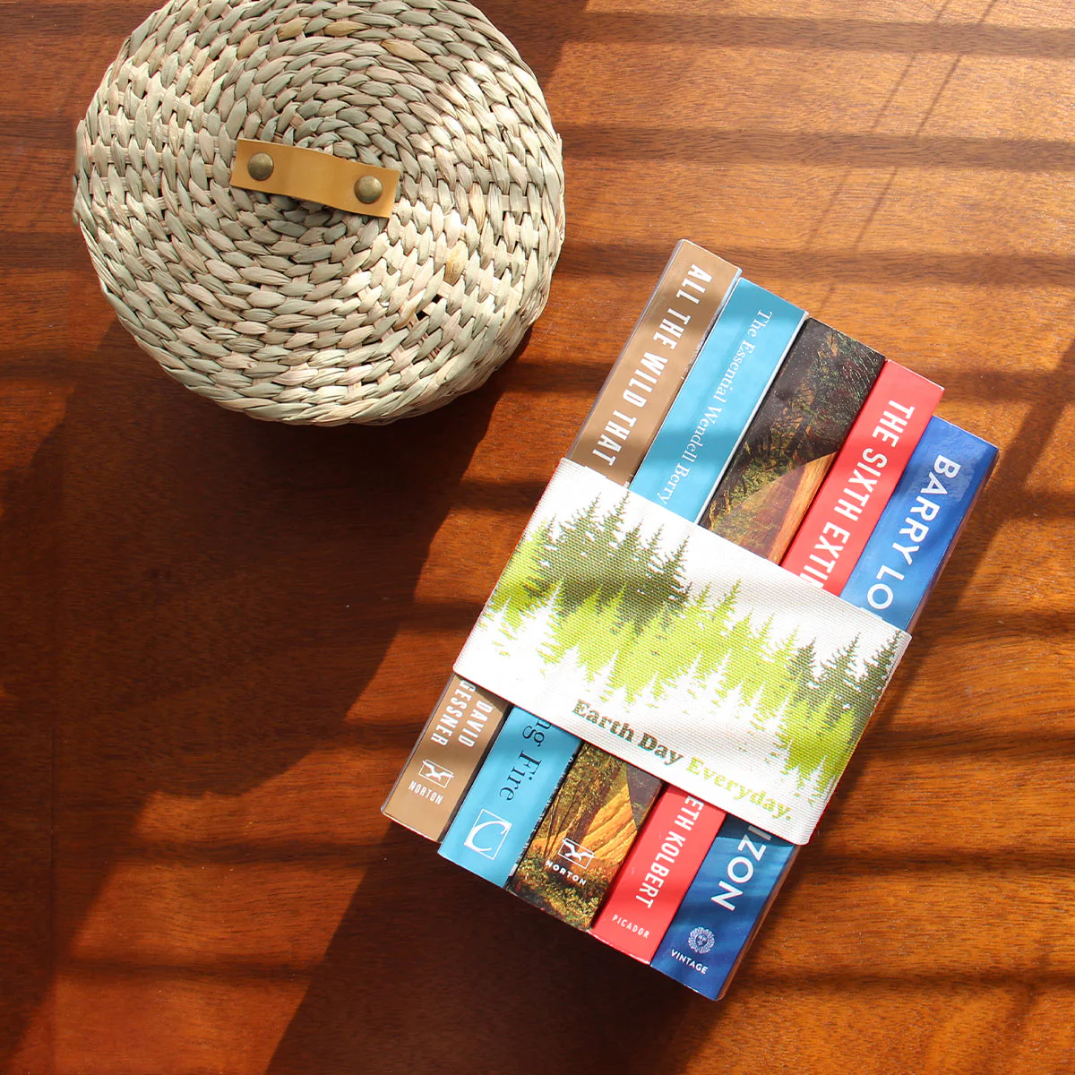 Earth Day Everyday Book Set - Image 5