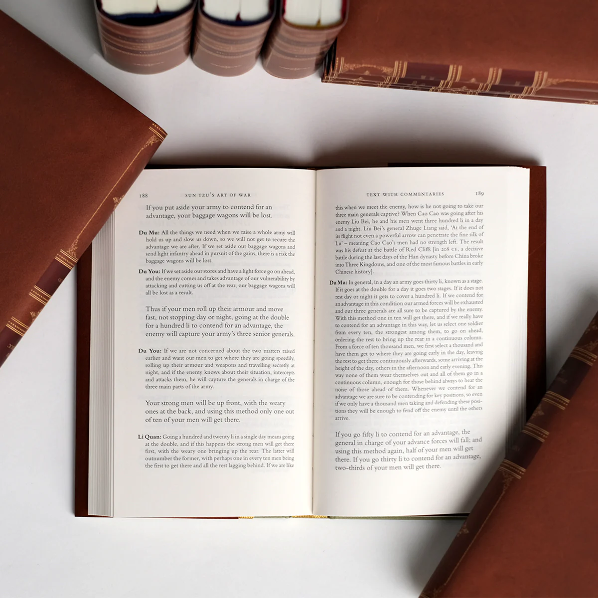 Everyman's Library Classics with Antique Leather-Style Jackets in Sets of 10 - Image 4