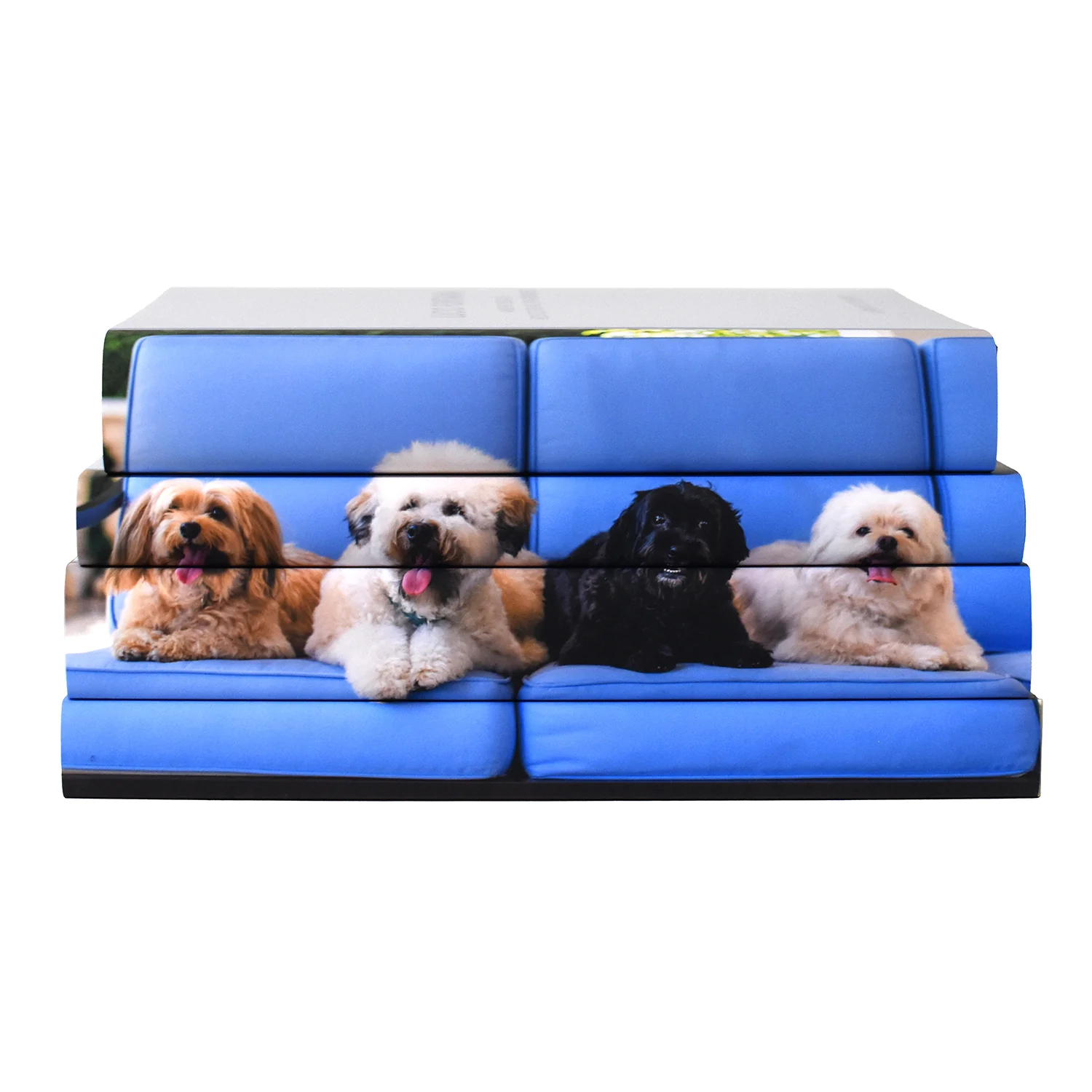 Family Pet Book Set - Full Custom - Get Started with a Deposit - Image 3