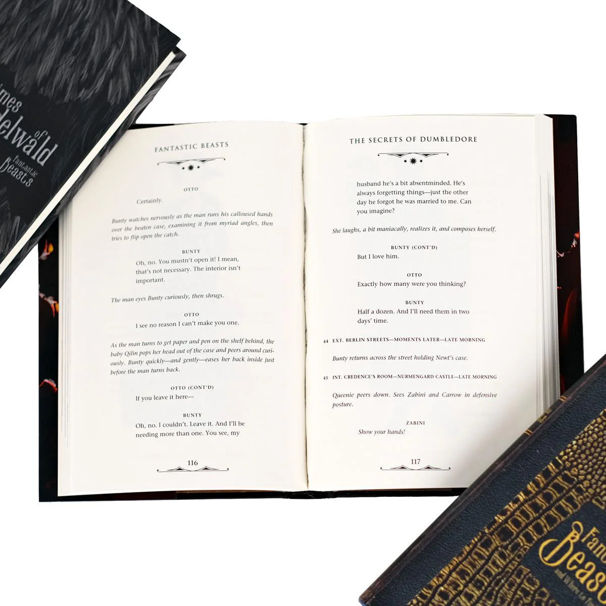 Fantastic Beasts: The Secrets of Dumbledore Single Book & Jacket - Image 3