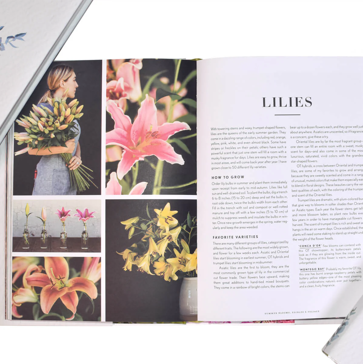 Indoor Gardening and Floral Arrangement Book Set - Image 4