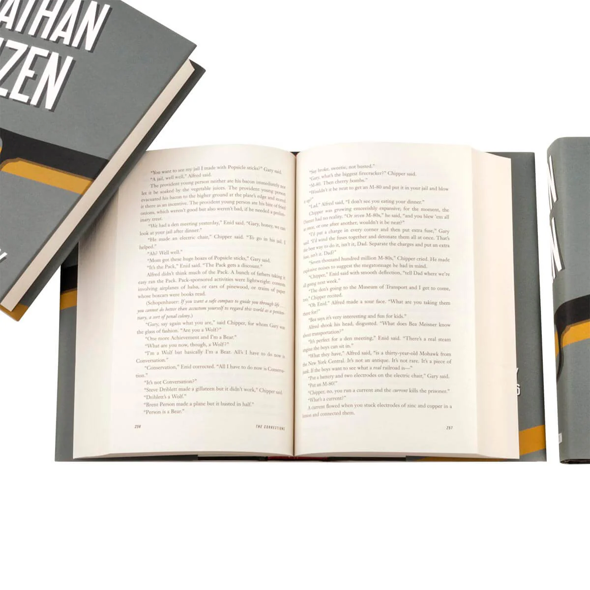 Jonathan Franzen Set - Image 4