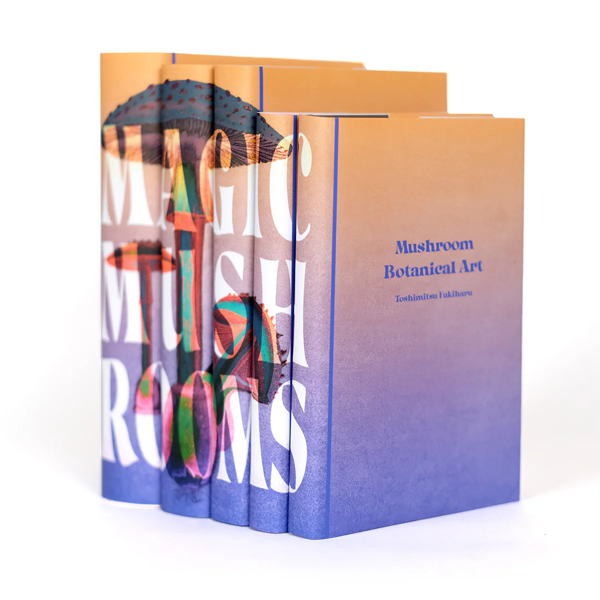 Magic Mushrooms Book Set - Image 3