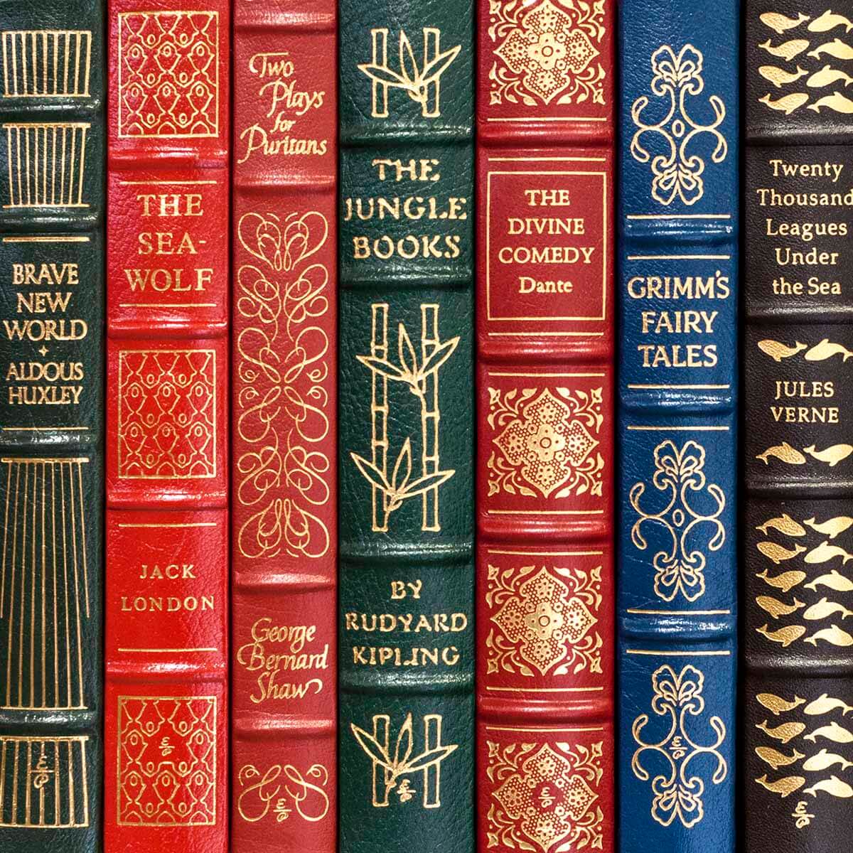 Modern Leather Books by the Foot - Image 3