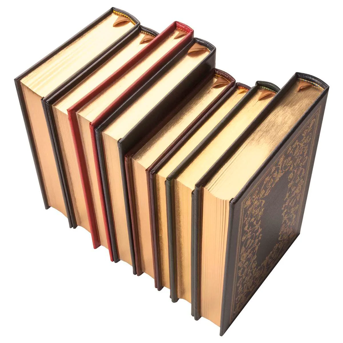 Modern Leather Books by the Foot - Image 6