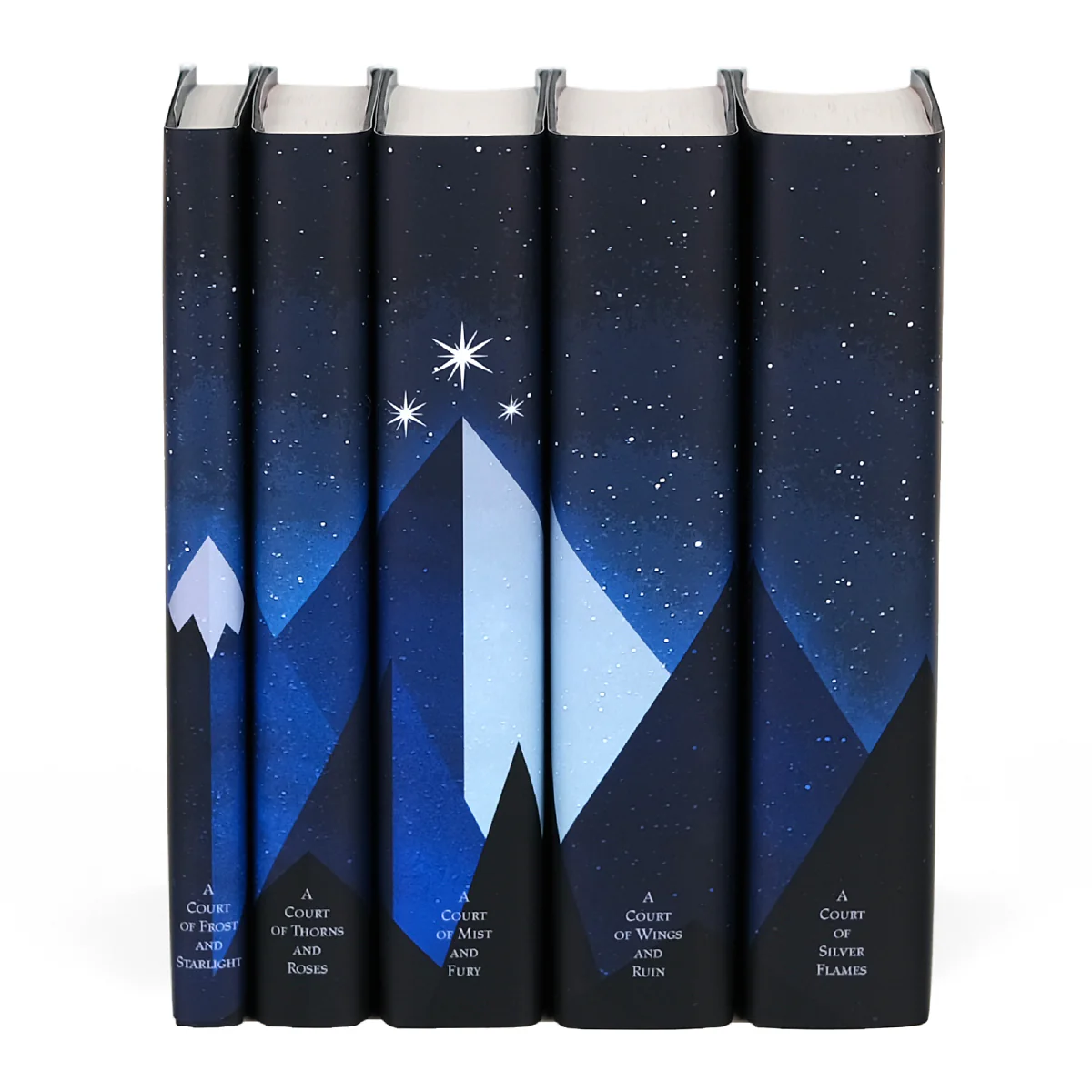 Night Court ACOTAR Jackets Only - Image 3