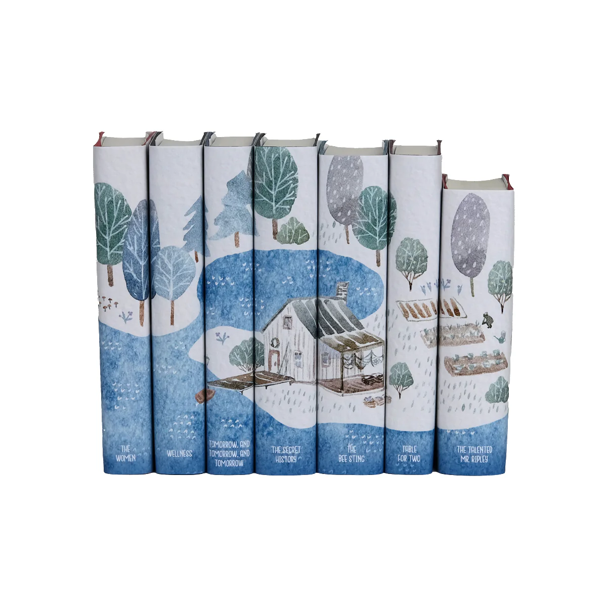 Summer Reads Book Set