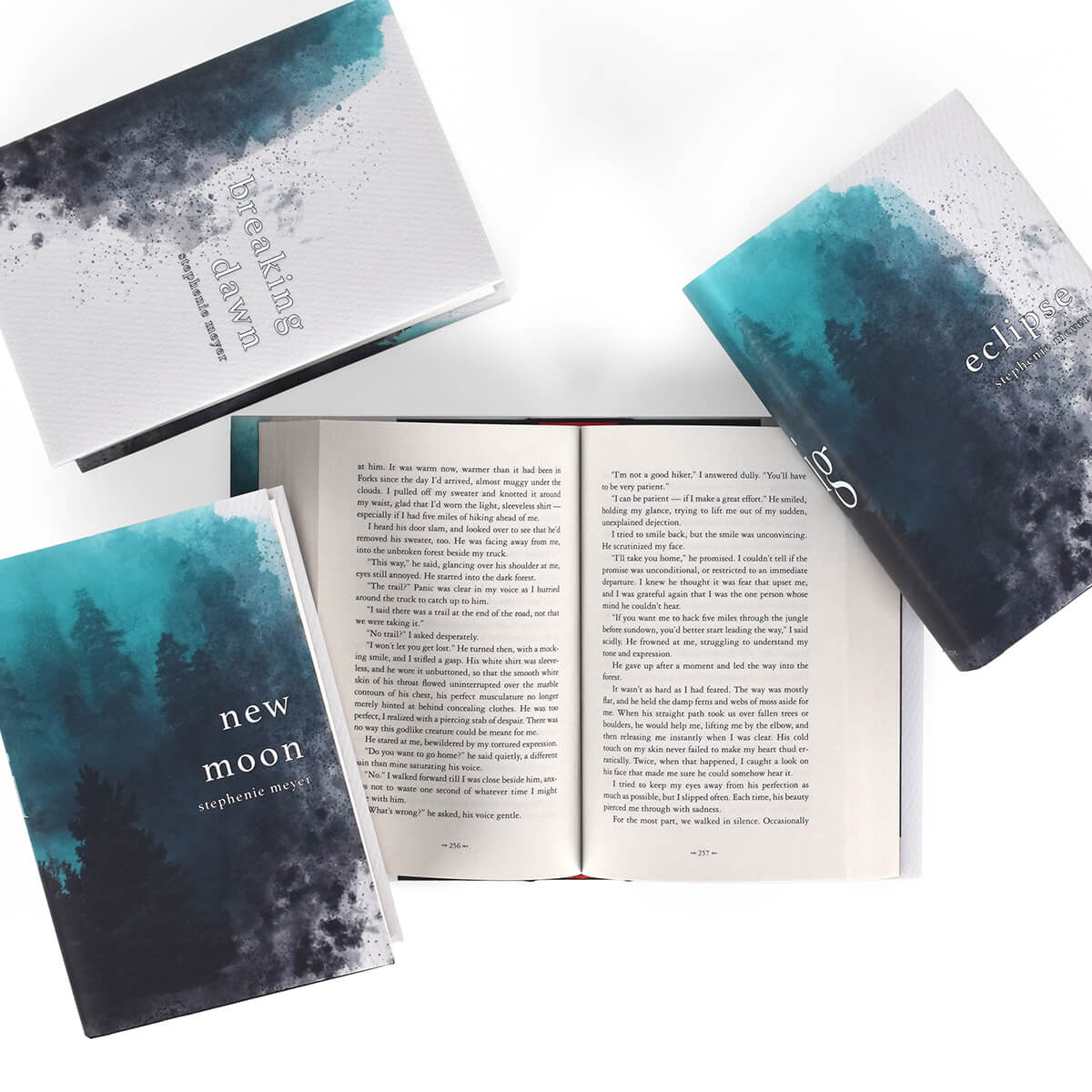The Twilight Saga Set of 4 Book Set - Image 5