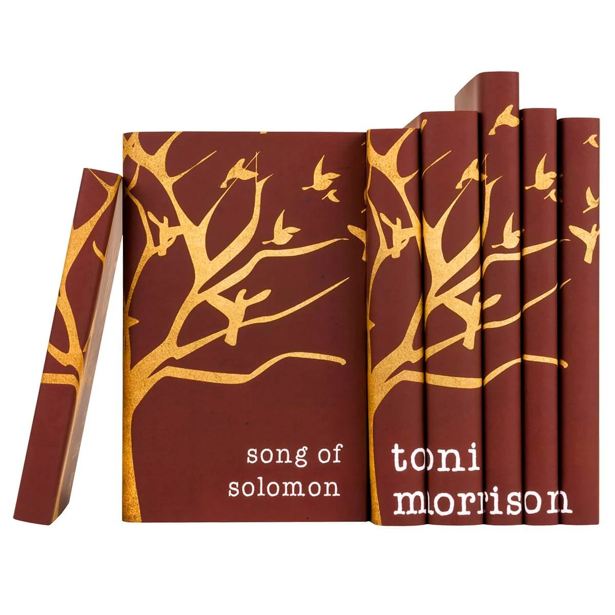 Toni Morrison Sets - Image 4